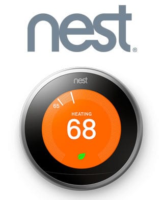 nest-1