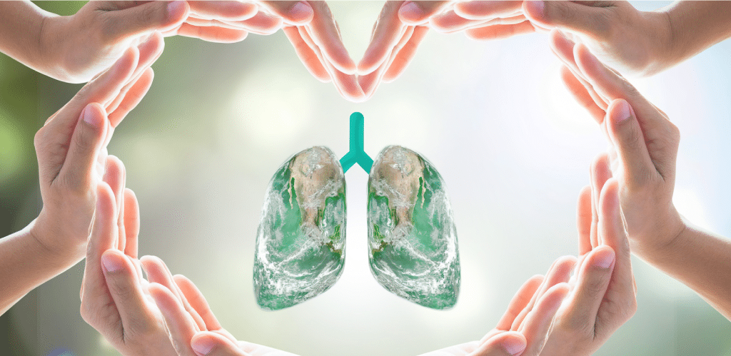 Keep Your Home Healthy for National Lung Month