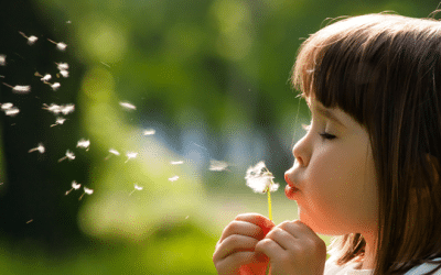 Improve Indoor Air Quality to Help Alleviate Allergy Symptoms