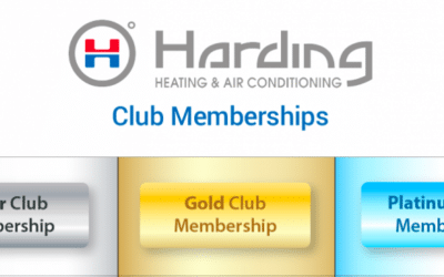 Benefits of Enrolling in a Team Harding Club Membership
