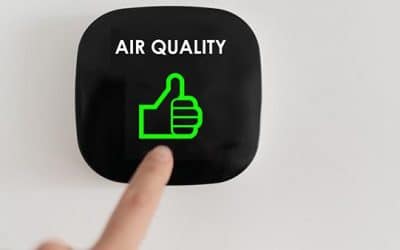 How To Improve Your Air Quality At Home During National Lung Month