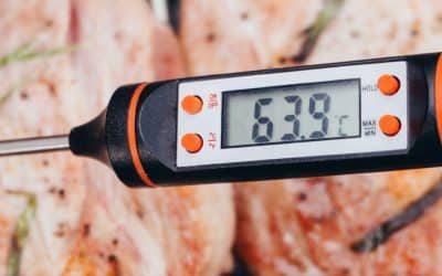 Is a Digital Meat Thermometer Really Necessary?