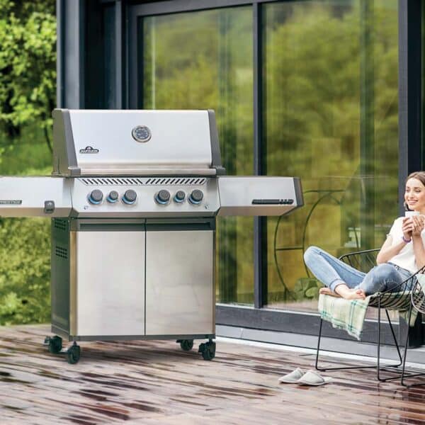 Napoleon Prestige® 500 (NG) - Image 5