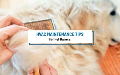 Helpful HVAC Tips for Pet Owners