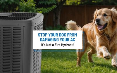 Stop Your Dog From Damaging Your AC (It’s Not a Fire Hydrant!)