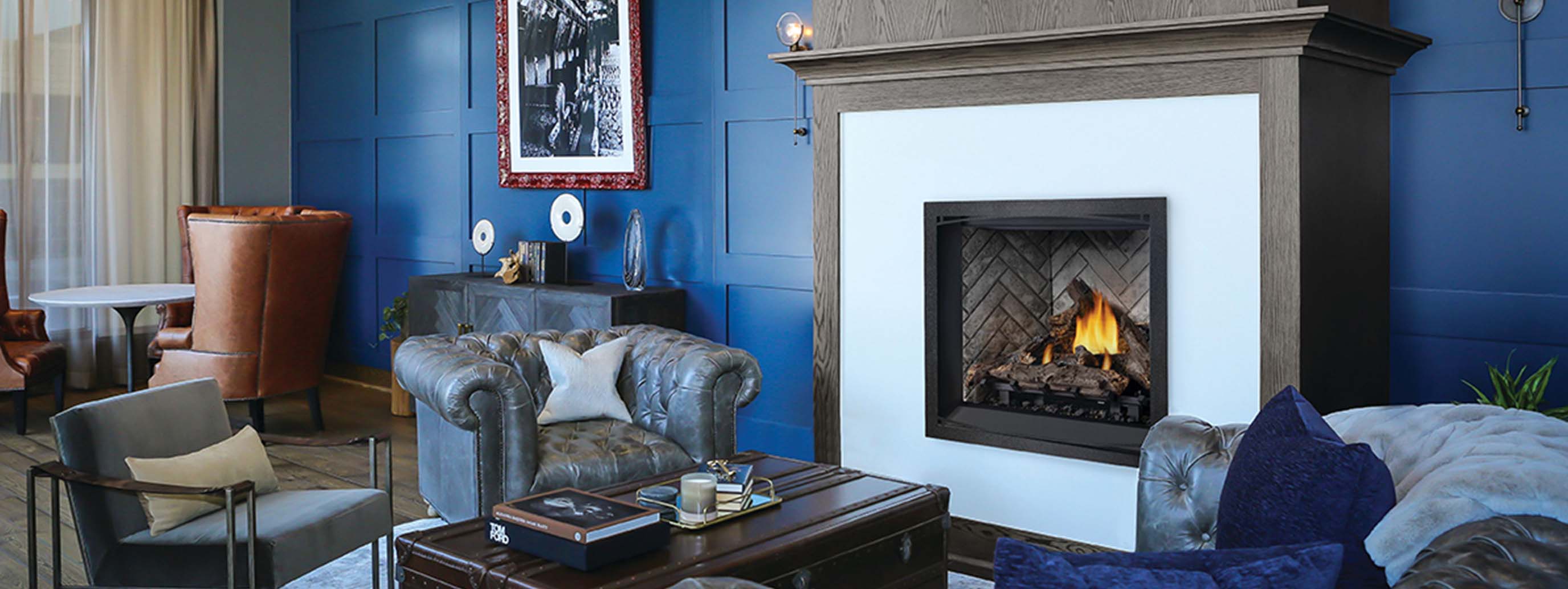 Napoleon Elevation™ Series-Header-2